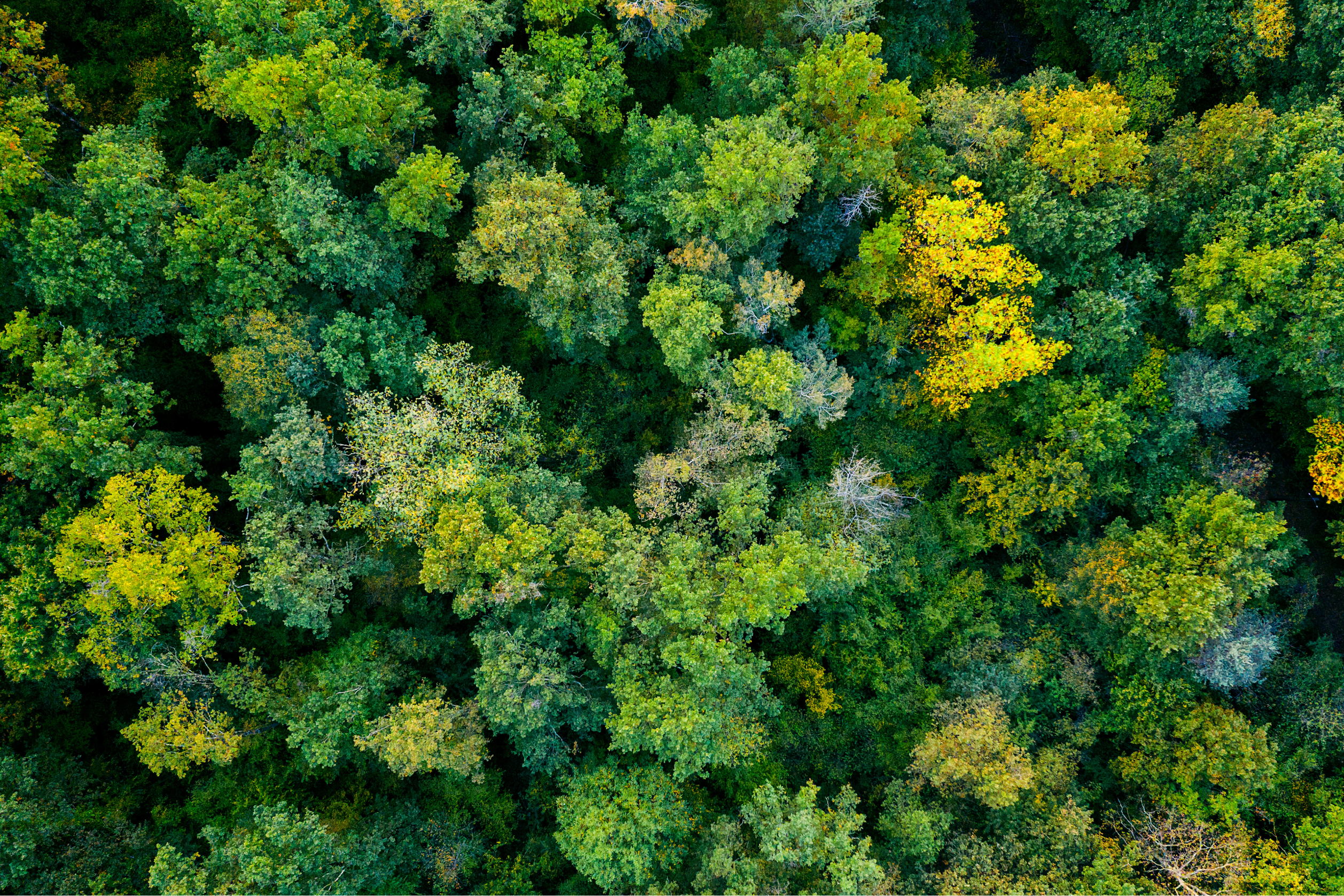 Step towards a sustainable future